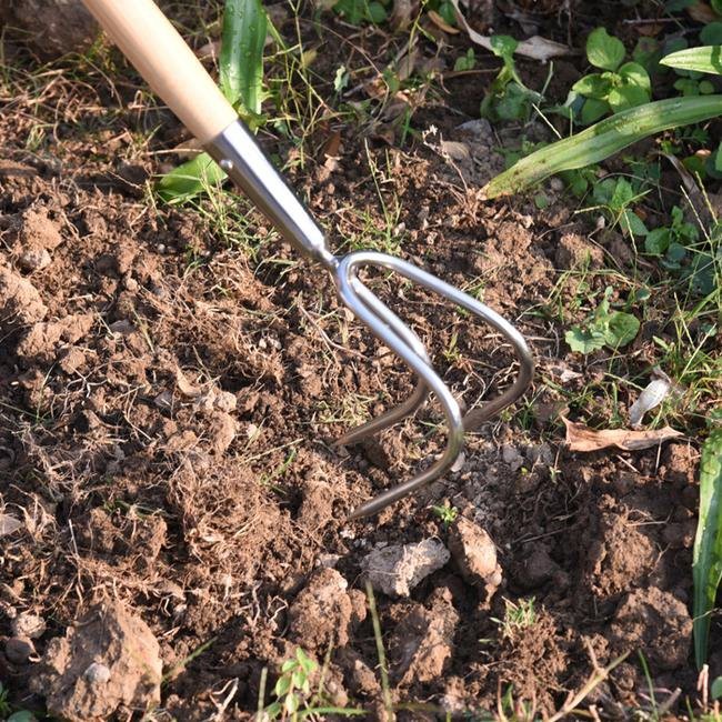 3 prong long handled garden cultivator