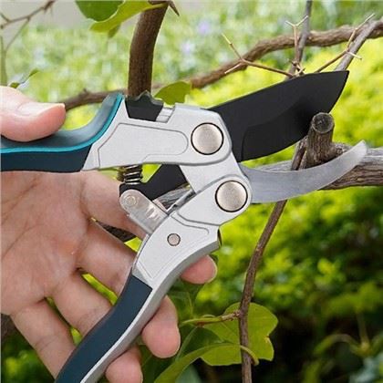 Выбор идеальных секаторов для яблонь: руководство садовника