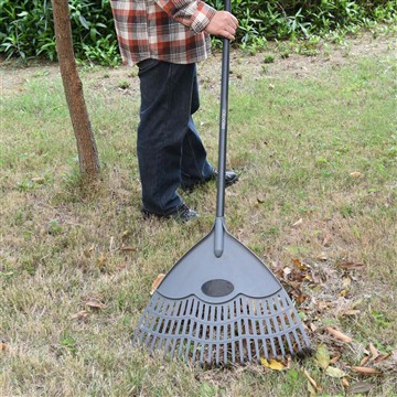 Как мы заботимся о барвинке в зимний сезон?