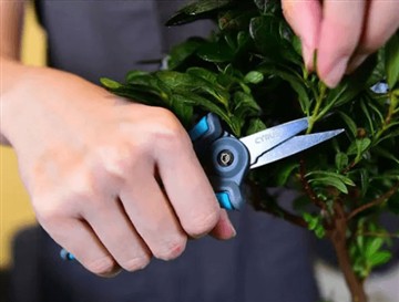 Почему мы выпустили новые и большие ножницы