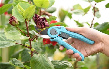 Плюсы мощного и ручного режущего инструмента