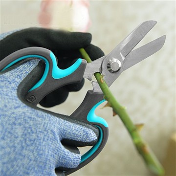 Начало Цветочного сада