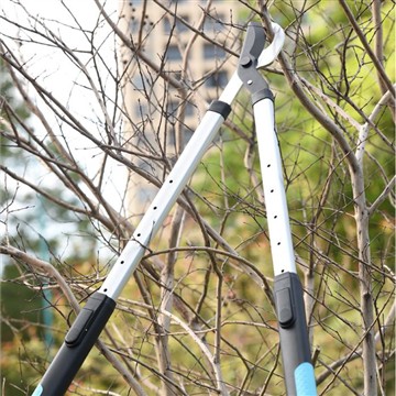 Обрезка и обрезка: забота о моей семье