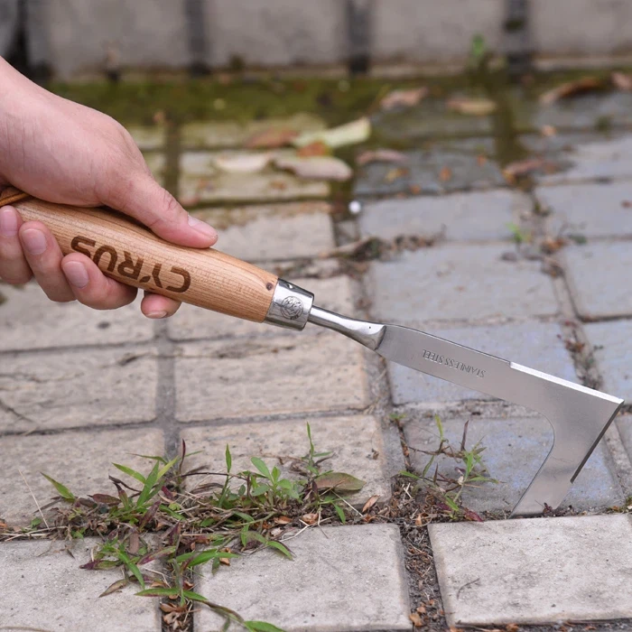 Прополка в саду стала проще благодаря ручной прополке из нержавеющей стали