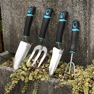 Дневник посадки сада -2