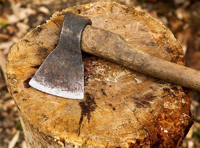 Инструменты для резки деревьев и защитное снаряжение