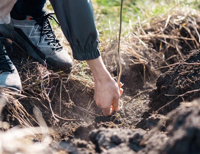 Игривые шаги по копанию корней