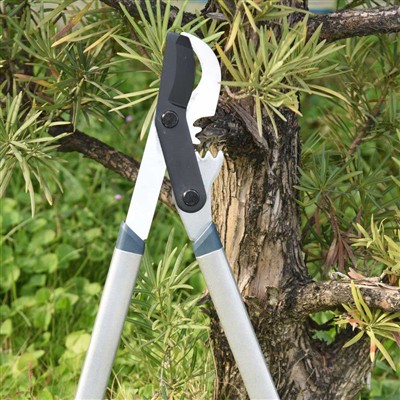 Лучший инструмент для обрезки ветвей — обходные сучкорезы