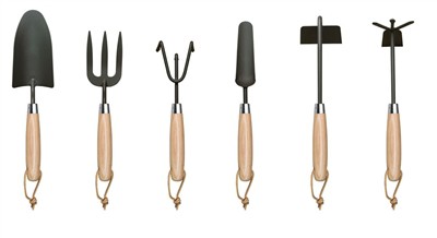 Посадка помидоров дома