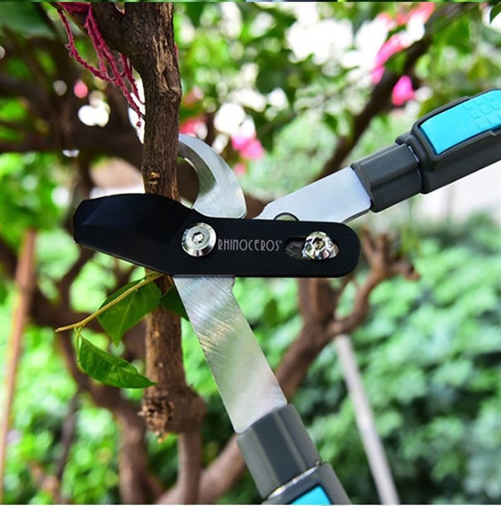 Professional Tree Loppers