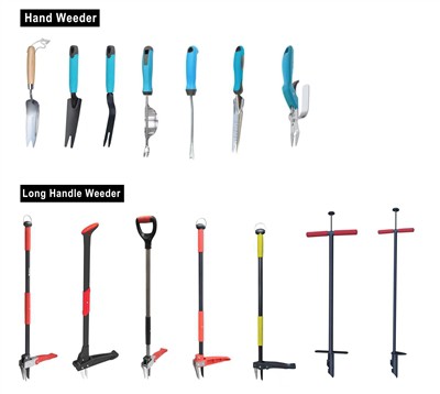 Культивирование зелени: обеспечение устойчивости в вашем саду