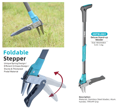 Празднование праздника середины осени по всему миру: гармония традиций и садо...